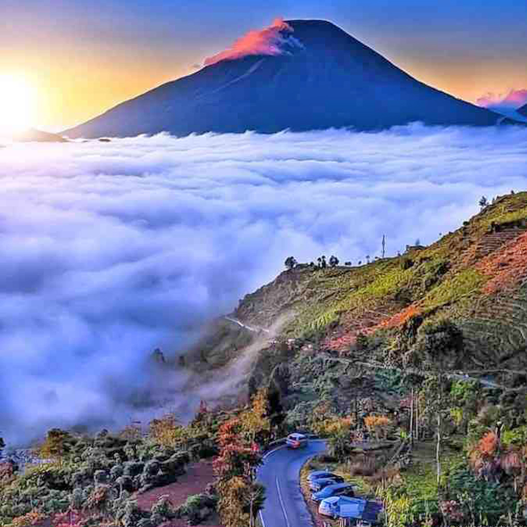 Wonosobo