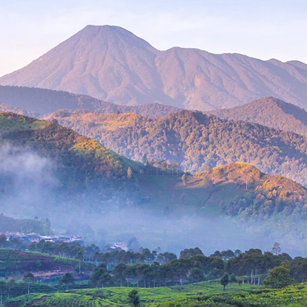 Bogor
