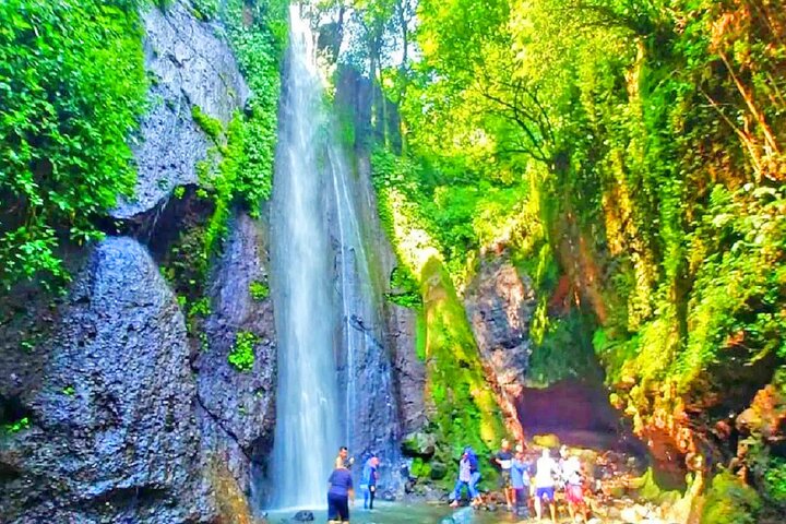 Bogor City Tour Nature Botanical Garden and waterfall with Local Food ( Start From Jakarta )